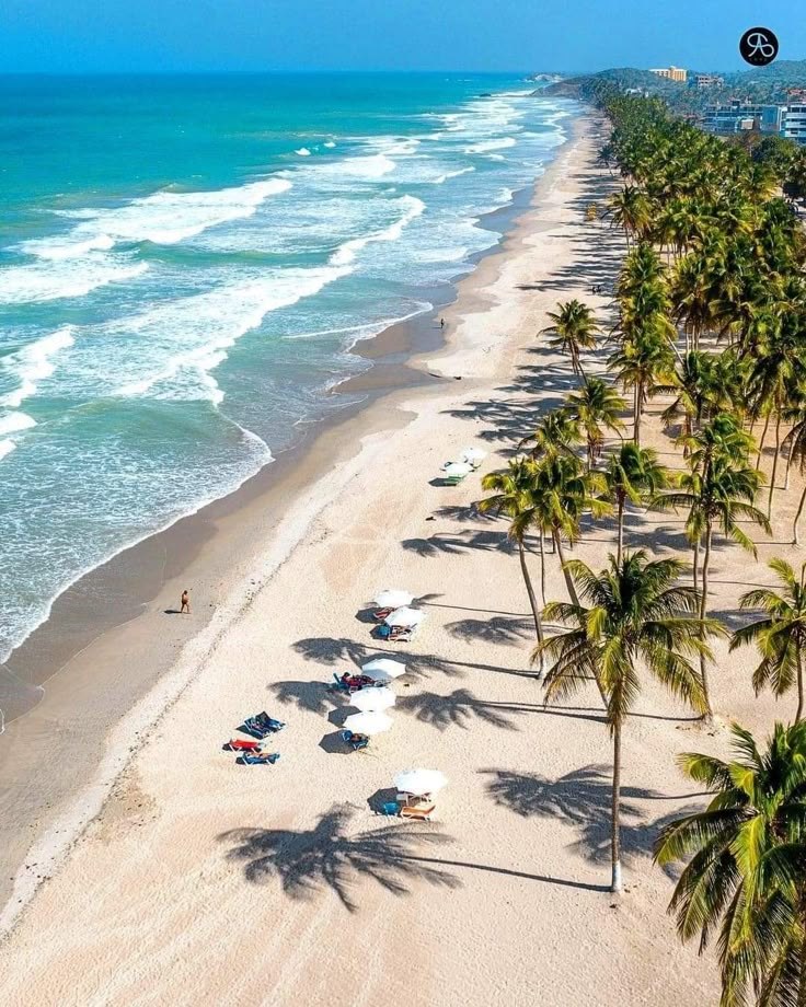 Playa de arena blanca bordeada de palmeras en Isla de Margarita