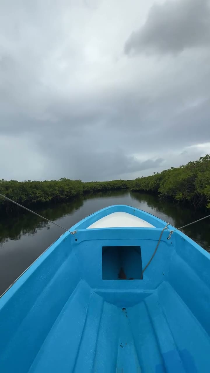 La proa de una lancha avanzando por un canal entre manglares, en Morrocoy