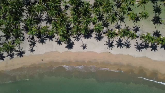 Una playa de la península de Paria vista desde el aire