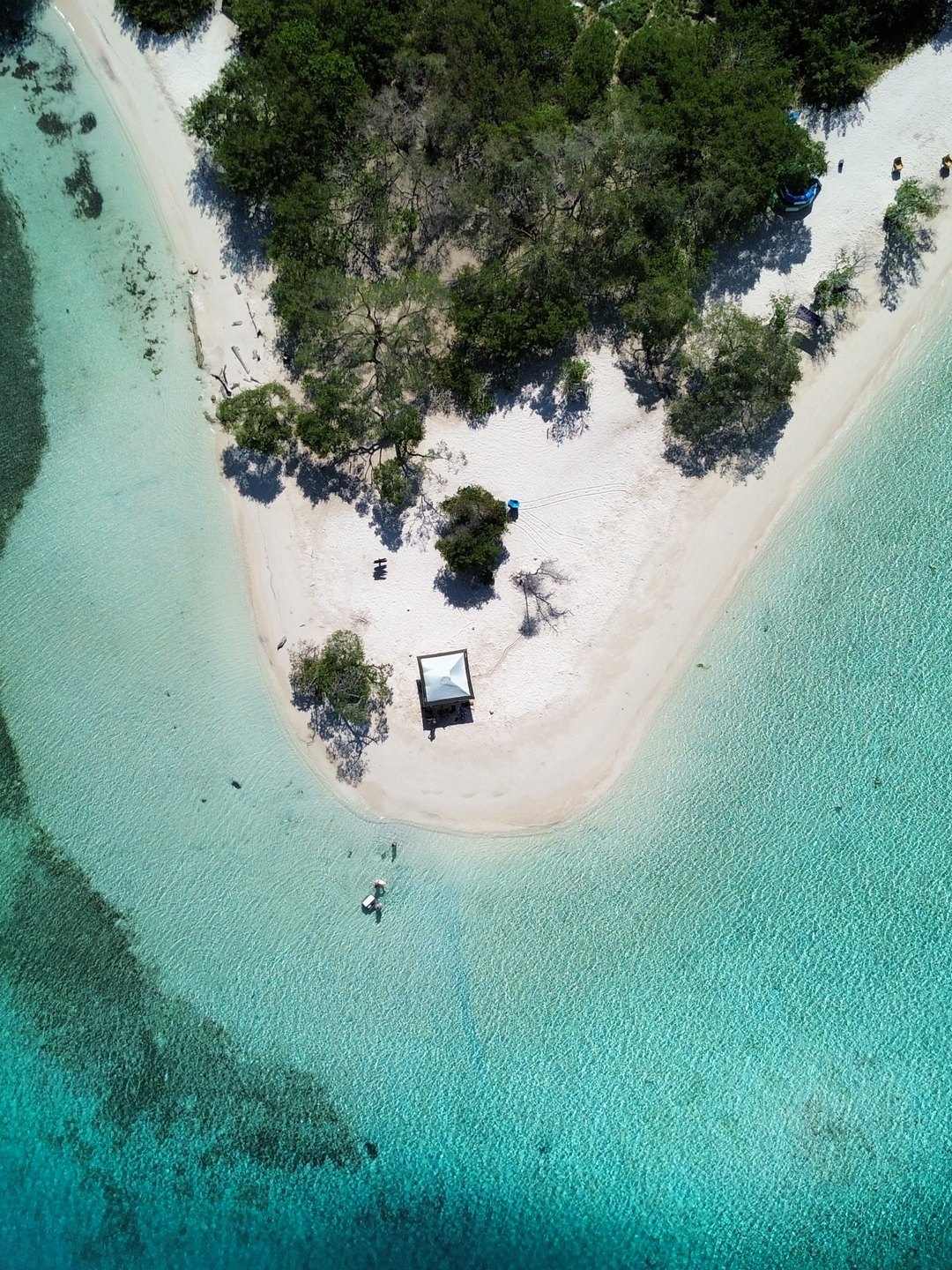 Un banco de arena blanca rodeado de agua turquesa en Los Roques